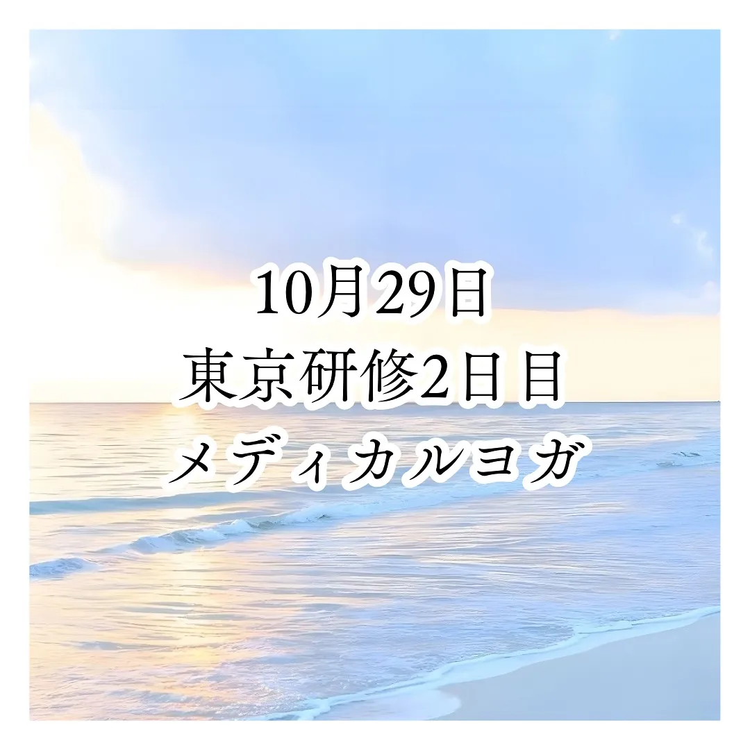 2日目の記録✍️