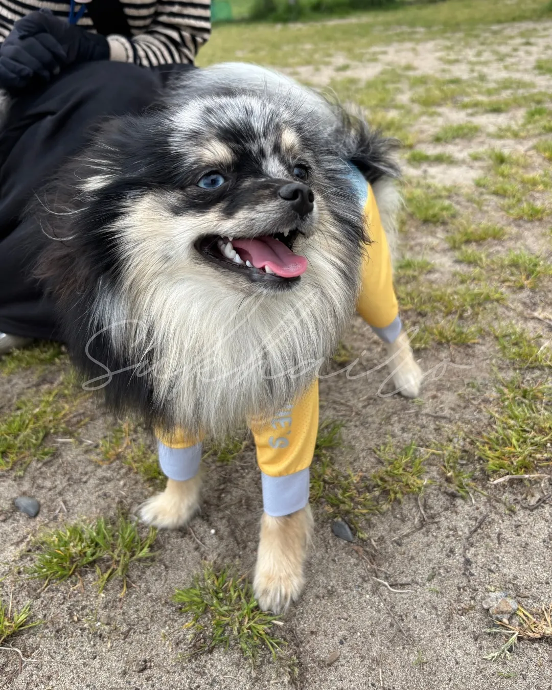 自分をリセットするタイミングって、意外と見逃しがち。