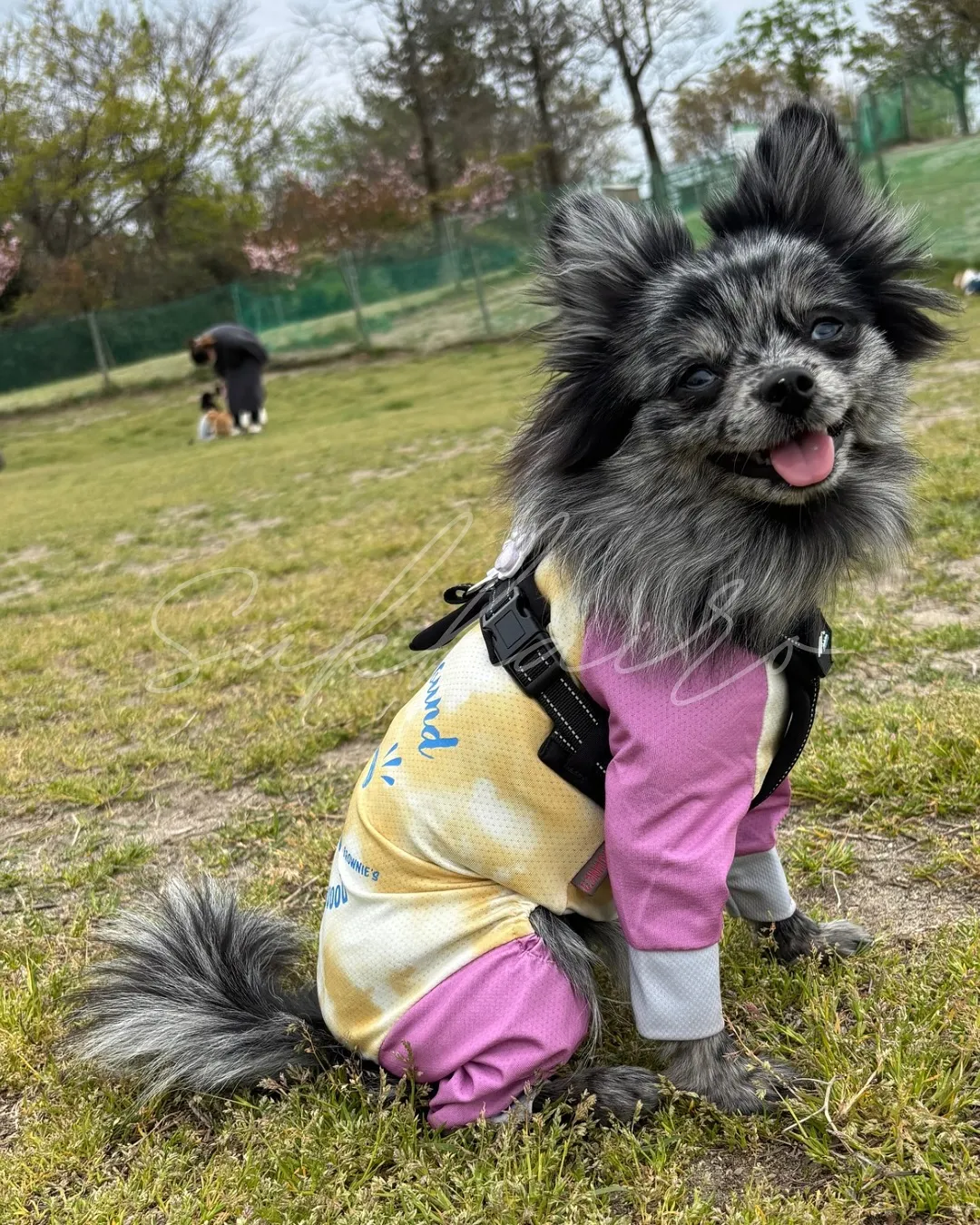 自分をリセットするタイミングって、意外と見逃しがち。