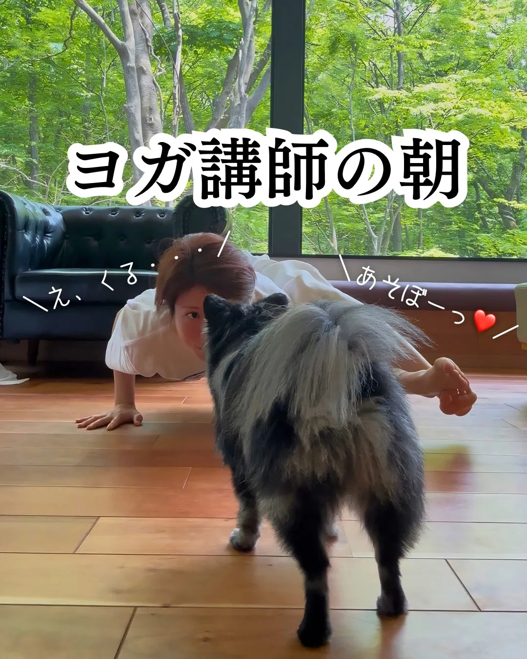 お仕事の依頼で県外へ。
