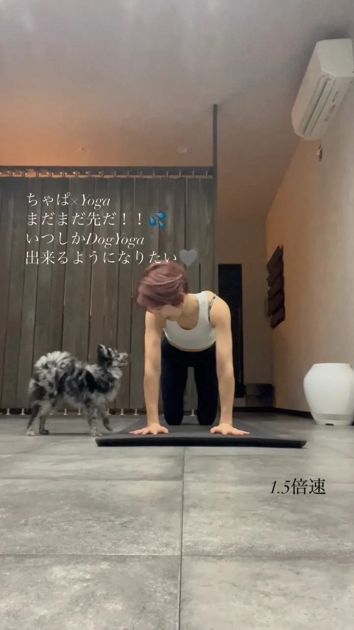 プライベート投稿☆Dog Yoga 🐶🤍