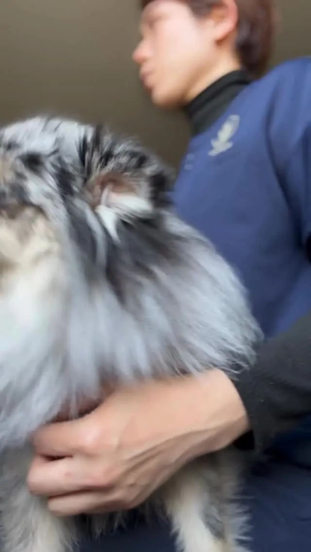 知ってましたか？🚶‍♂️