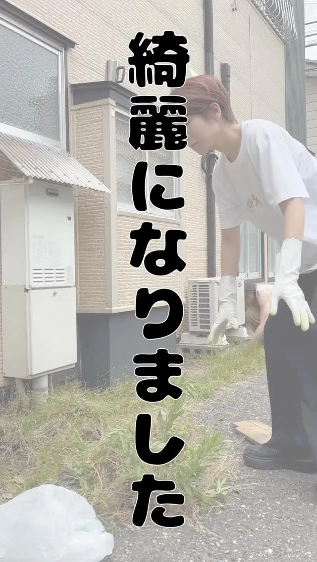 🌿 お店の脇、お手入れしました🌿